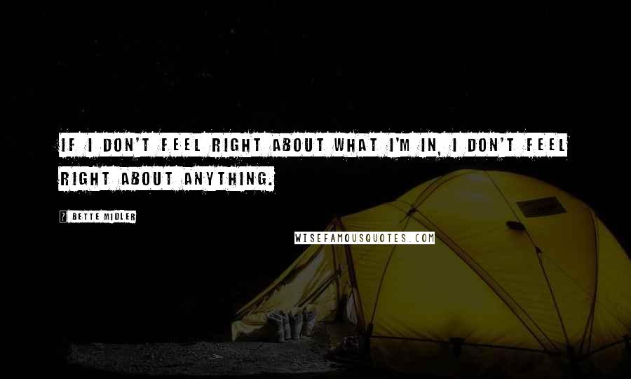 Bette Midler quotes: If I don't feel right about what I'm in, I don't feel right about anything.