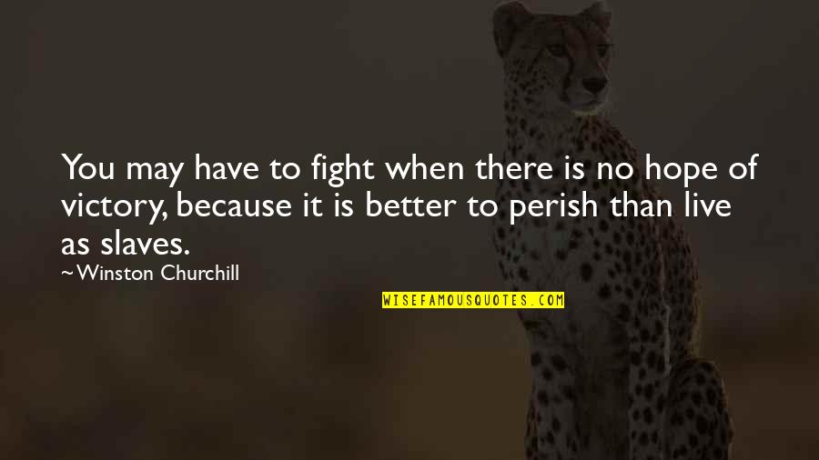 Better Because Of You Quotes By Winston Churchill: You may have to fight when there is