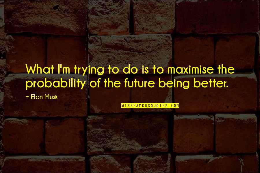 Better Future Quotes By Elon Musk: What I'm trying to do is to maximise