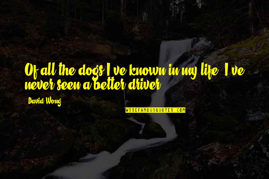Better Known Quotes By David Wong: Of all the dogs I've known in my