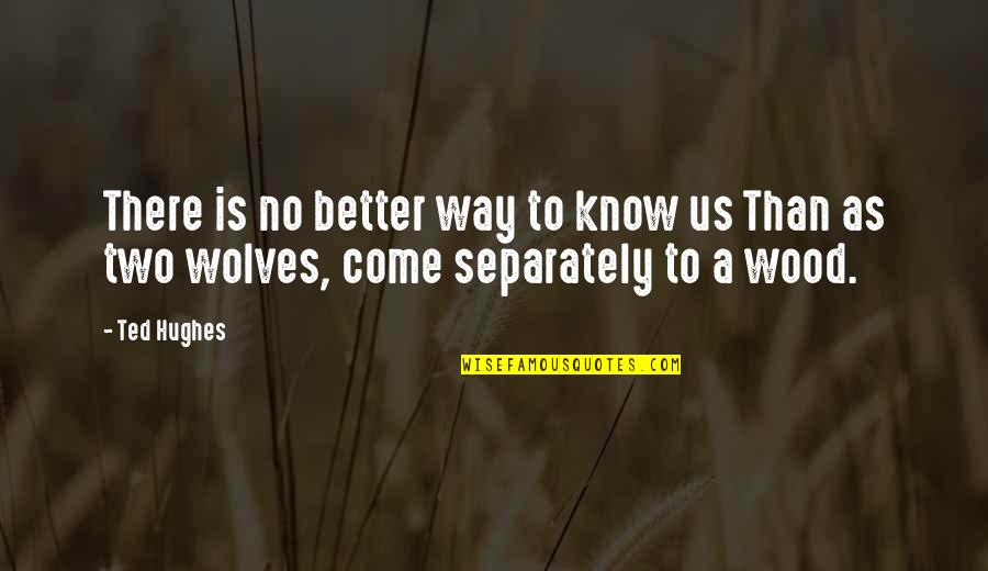 Better Off Ted Quotes By Ted Hughes: There is no better way to know us