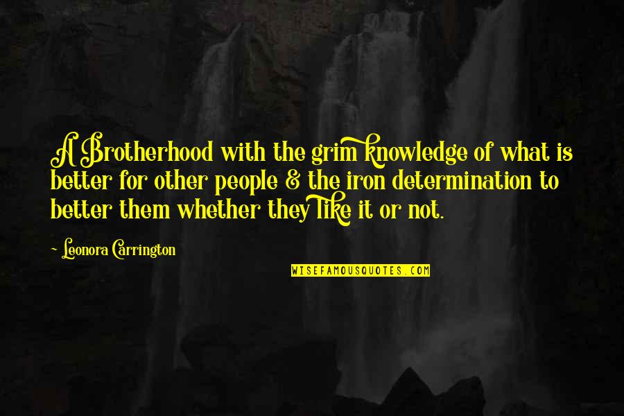 Better Off Without Them Quotes By Leonora Carrington: A Brotherhood with the grim knowledge of what