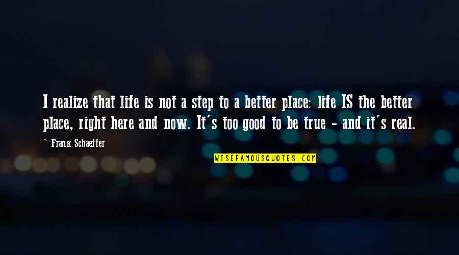 Better Place Now Quotes By Frank Schaeffer: I realize that life is not a step Better Place Now Quotes By Frank Schaeffer: I realize that life is not a step