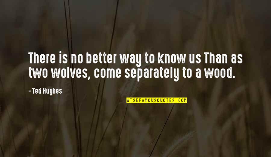 Better Relationship Quotes By Ted Hughes: There is no better way to know us