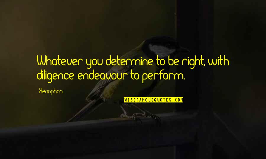Better Remain Silent Quotes By Xenophon: Whatever you determine to be right, with diligence