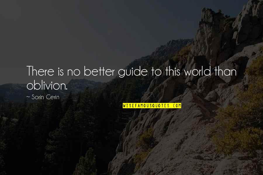 Better Than Love Quotes By Sorin Cerin: There is no better guide to this world