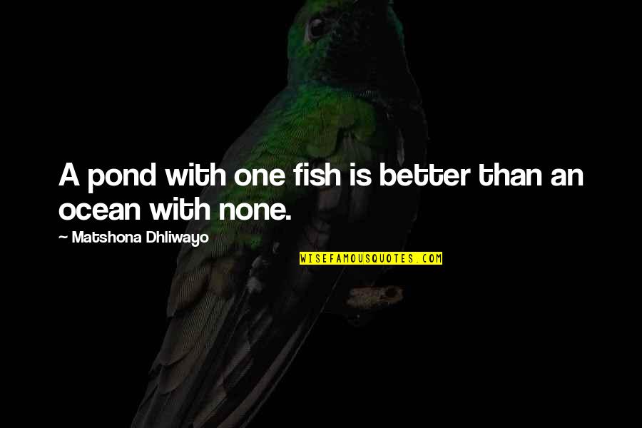 Better Than Quotes Quotes By Matshona Dhliwayo: A pond with one fish is better than