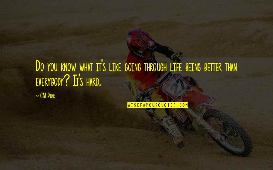 Better Than You Know Quotes By CM Punk: Do you know what it's like going through