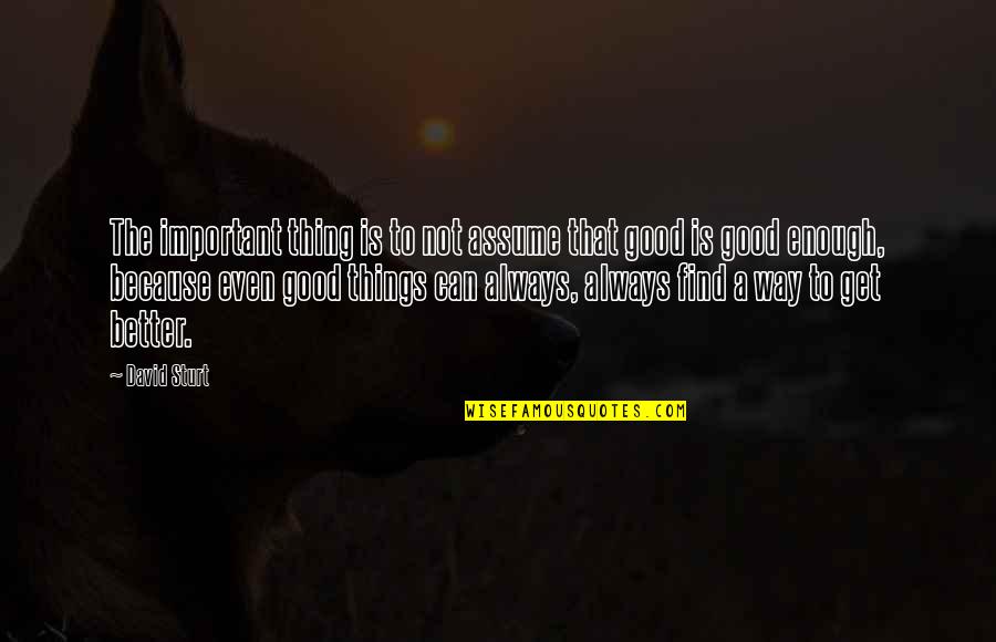 Better Things On The Way Quotes By David Sturt: The important thing is to not assume that Better Things On The Way Quotes By David Sturt: The important thing is to not assume that