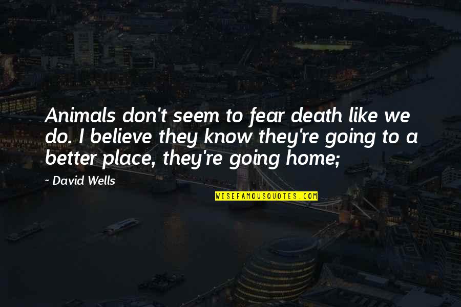 Better To Know Quotes By David Wells: Animals don't seem to fear death like we