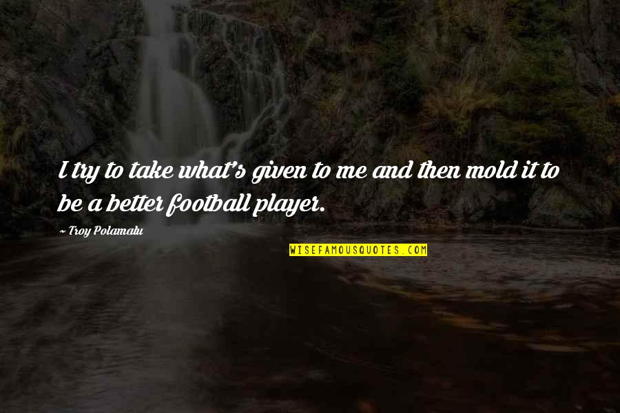 Better To Try Quotes By Troy Polamalu: I try to take what's given to me