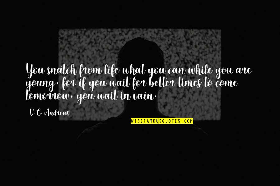 Better Tomorrow Quotes By V.C. Andrews: You snatch from life what you can while