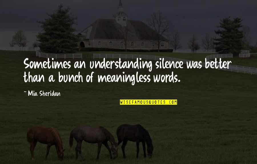 Better Words Quotes By Mia Sheridan: Sometimes an understanding silence was better than a