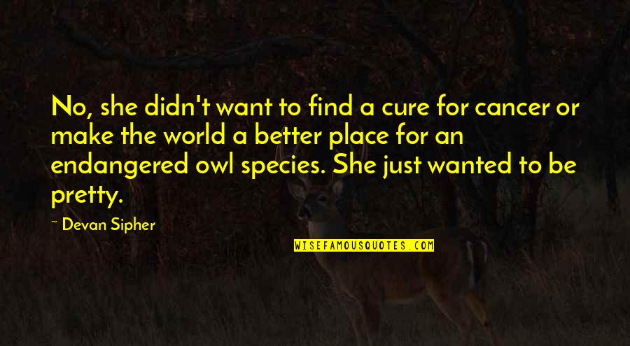 Better World Quotes By Devan Sipher: No, she didn't want to find a cure