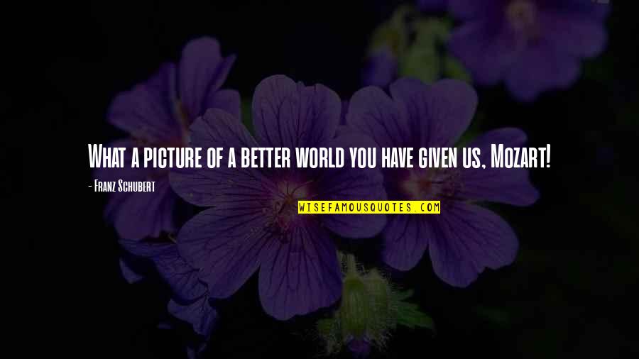 Better World Quotes By Franz Schubert: What a picture of a better world you