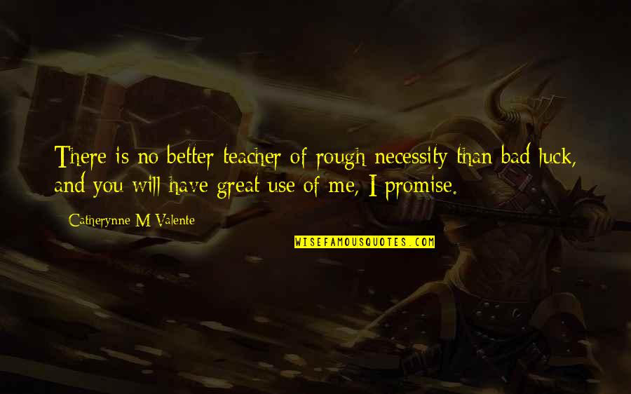 Better You Than Me Quotes By Catherynne M Valente: There is no better teacher of rough necessity