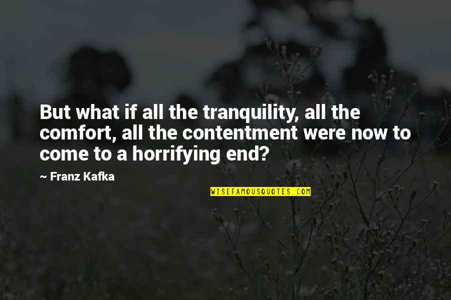 Bettina Arndt Quotes By Franz Kafka: But what if all the tranquility, all the