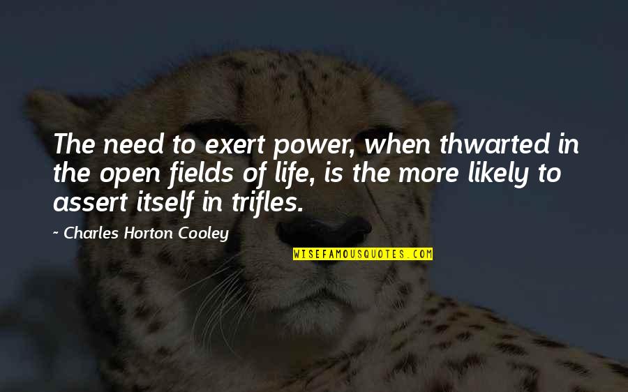 Betting On Love Quotes By Charles Horton Cooley: The need to exert power, when thwarted in