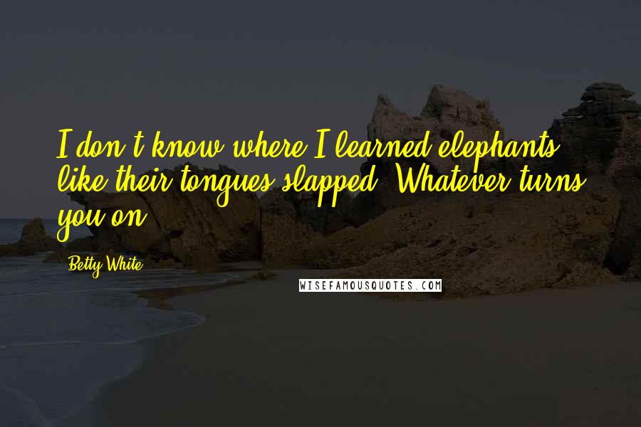 Betty White quotes: I don't know where I learned elephants like their tongues slapped. Whatever turns you on.