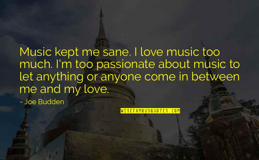 Between You And Me Love Quotes By Joe Budden: Music kept me sane. I love music too