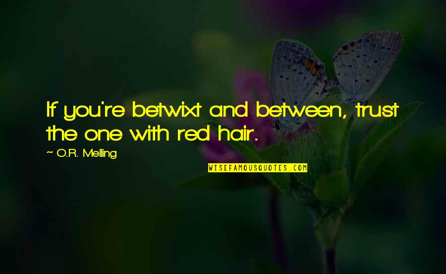Betwixt And Between Quotes By O.R. Melling: If you're betwixt and between, trust the one