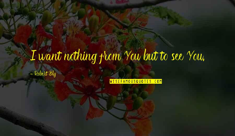 Beugen Cushion Quotes By Robert Bly: I want nothing from You but to see