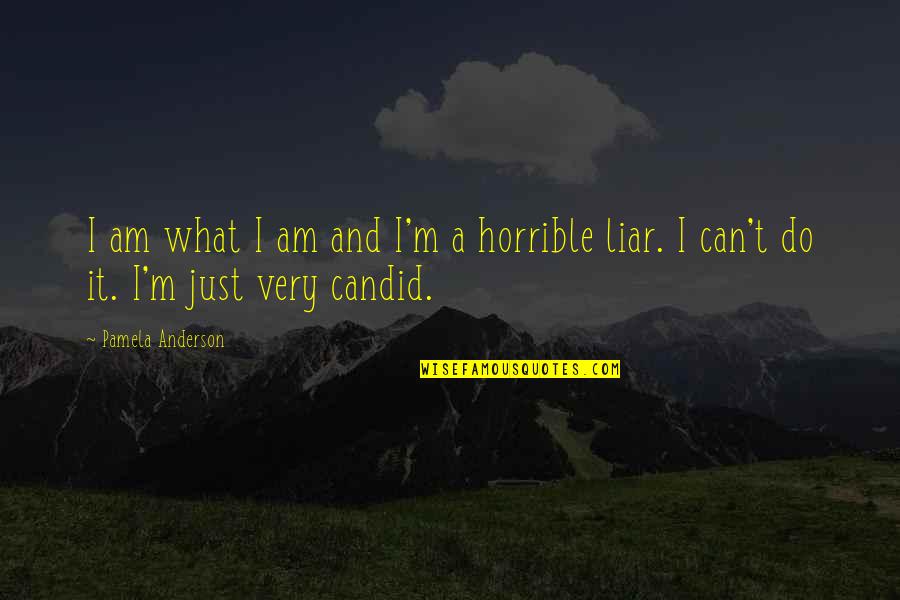 Beulen Quotes By Pamela Anderson: I am what I am and I'm a