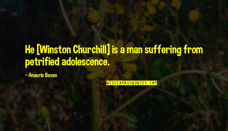 Bevan Quotes By Aneurin Bevan: He [Winston Churchill] is a man suffering from