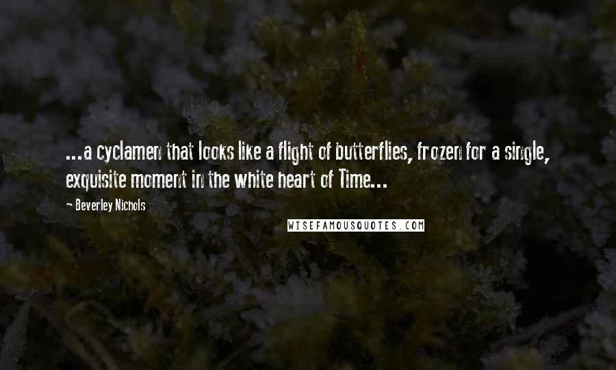 Beverley Nichols quotes: ...a cyclamen that looks like a flight of butterflies, frozen for a single, exquisite moment in the white heart of Time...