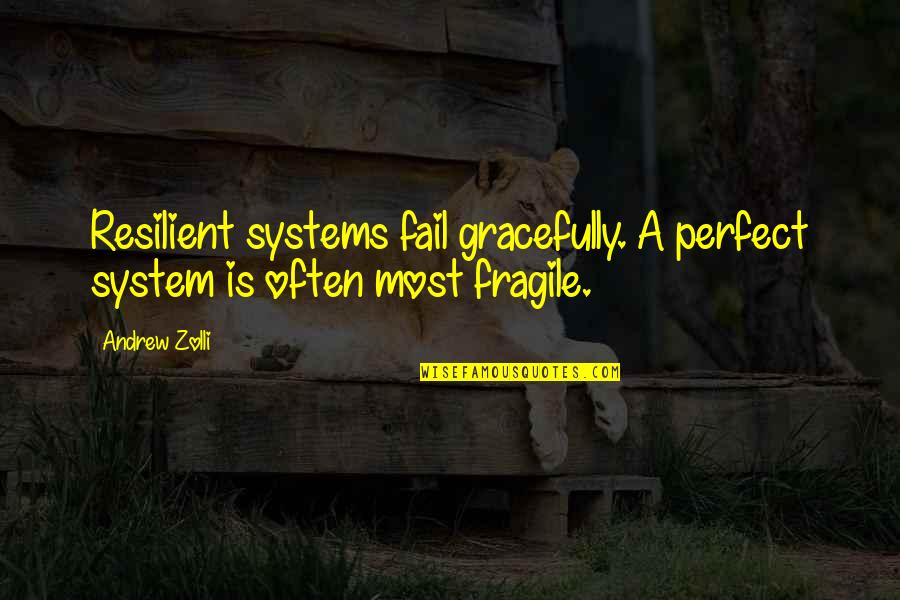 Beverywhere Quotes By Andrew Zolli: Resilient systems fail gracefully. A perfect system is