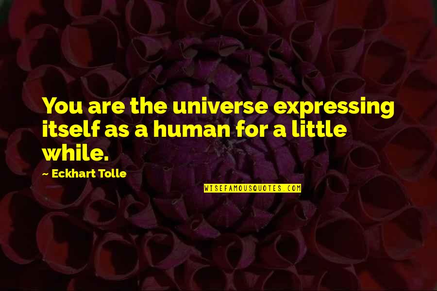 Beware Of Your Enemies Quotes By Eckhart Tolle: You are the universe expressing itself as a