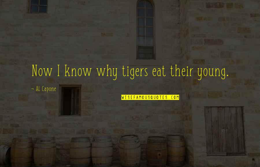 Bewijzen Vertaling Quotes By Al Capone: Now I know why tigers eat their young.