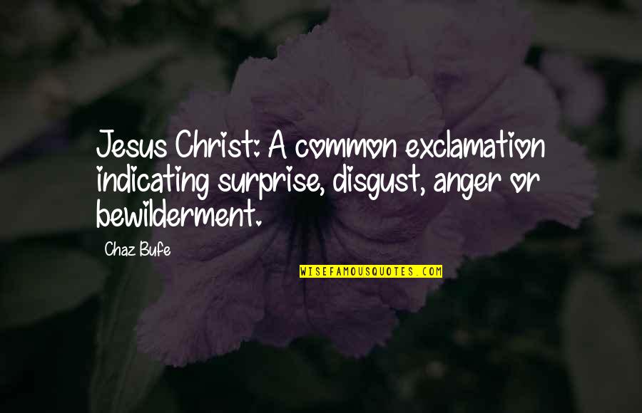 Bewilderment Quotes By Chaz Bufe: Jesus Christ: A common exclamation indicating surprise, disgust,