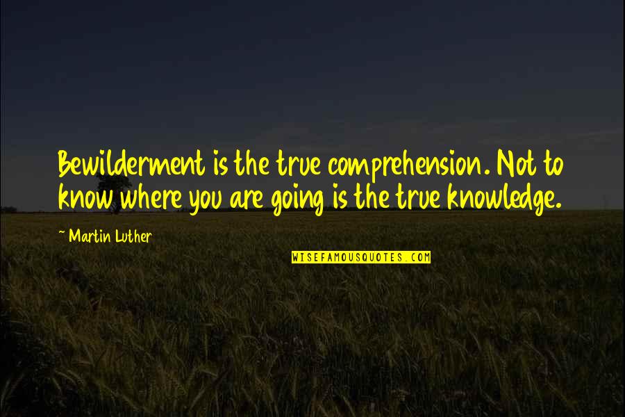 Bewilderment Quotes By Martin Luther: Bewilderment is the true comprehension. Not to know