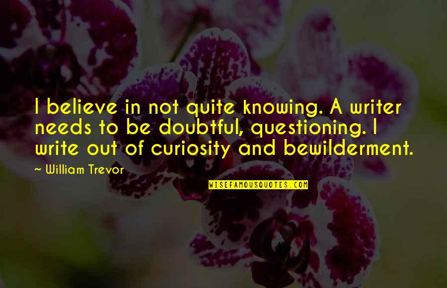 Bewilderment Quotes By William Trevor: I believe in not quite knowing. A writer