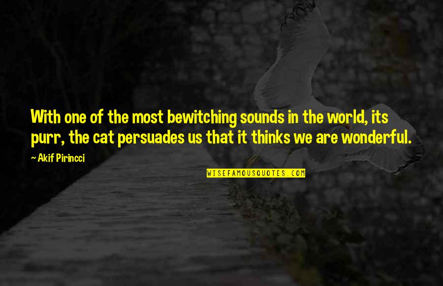 Bewitching Quotes By Akif Pirincci: With one of the most bewitching sounds in Bewitching Quotes By Akif Pirincci: With one of the most bewitching sounds in