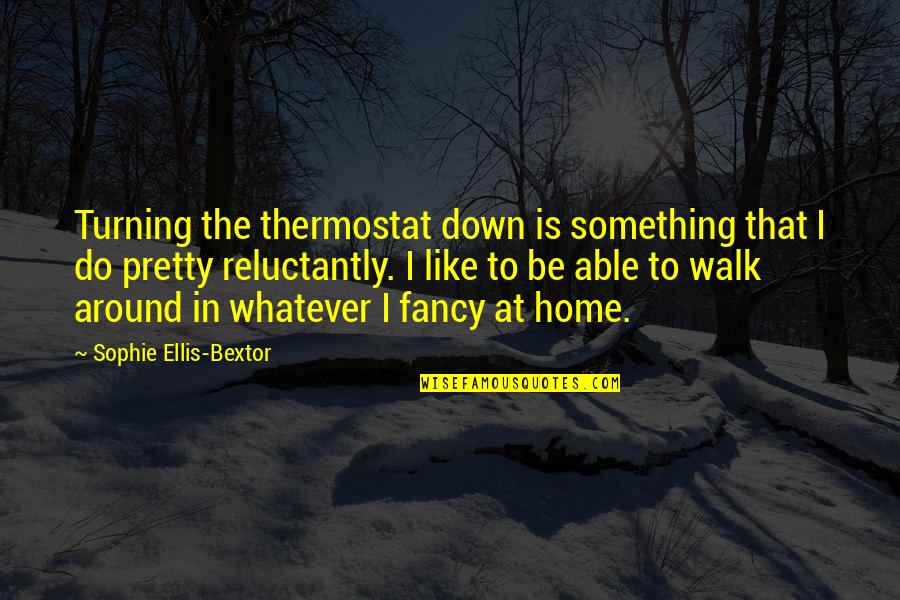 Bextor Quotes By Sophie Ellis-Bextor: Turning the thermostat down is something that I