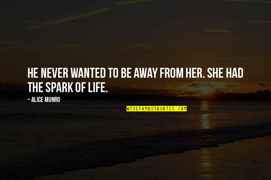 Beyinde Kan Quotes By Alice Munro: He never wanted to be away from her.