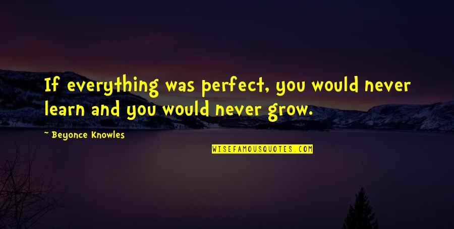Beyonce Quotes By Beyonce Knowles: If everything was perfect, you would never learn