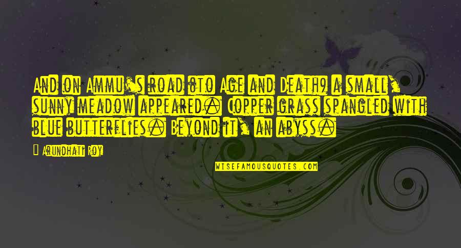 Beyond Blue Quotes By Arundhati Roy: And on Ammu's road (to Age and Death)