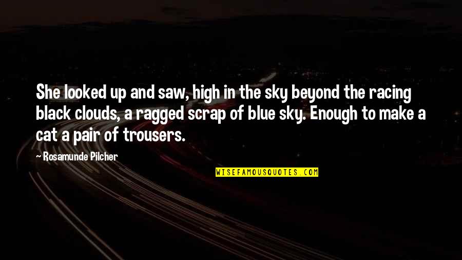 Beyond Blue Quotes By Rosamunde Pilcher: She looked up and saw, high in the