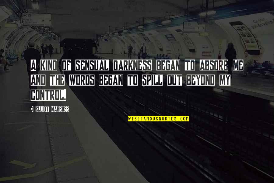 Beyond Our Control Quotes By Elliot Mabeuse: A kind of sensual darkness began to absorb