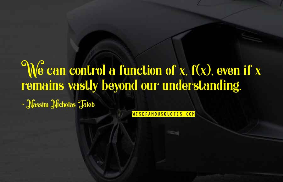Beyond Our Control Quotes By Nassim Nicholas Taleb: We can control a function of x, f(x),