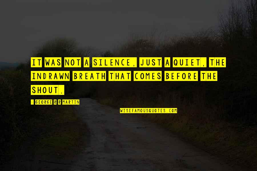 Beyond Pissed Quotes By George R R Martin: It was not a silence, just a quiet,