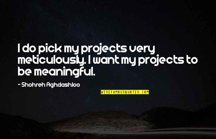 Beyond Pissed Quotes By Shohreh Aghdashloo: I do pick my projects very meticulously. I Beyond Pissed Quotes By Shohreh Aghdashloo: I do pick my projects very meticulously. I
