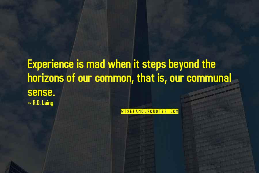 Beyond Quotes By R.D. Laing: Experience is mad when it steps beyond the