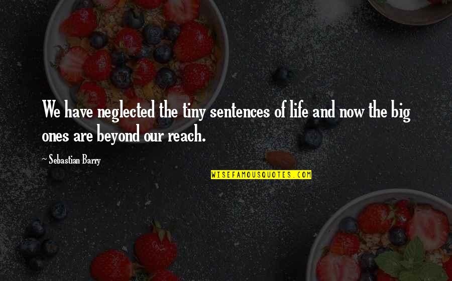 Beyond Reach Quotes By Sebastian Barry: We have neglected the tiny sentences of life