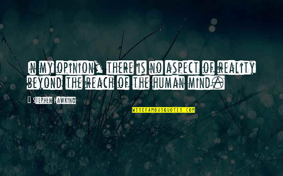 Beyond Reach Quotes By Stephen Hawking: In my opinion, there is no aspect of
