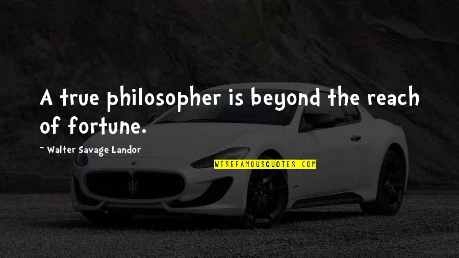 Beyond Reach Quotes By Walter Savage Landor: A true philosopher is beyond the reach of