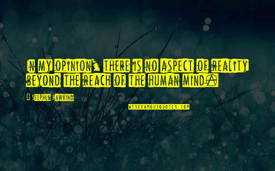 Beyond Reality Quotes By Stephen Hawking: In my opinion, there is no aspect of